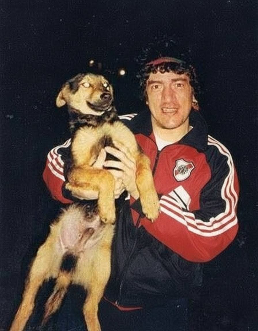 Diseño El Pity