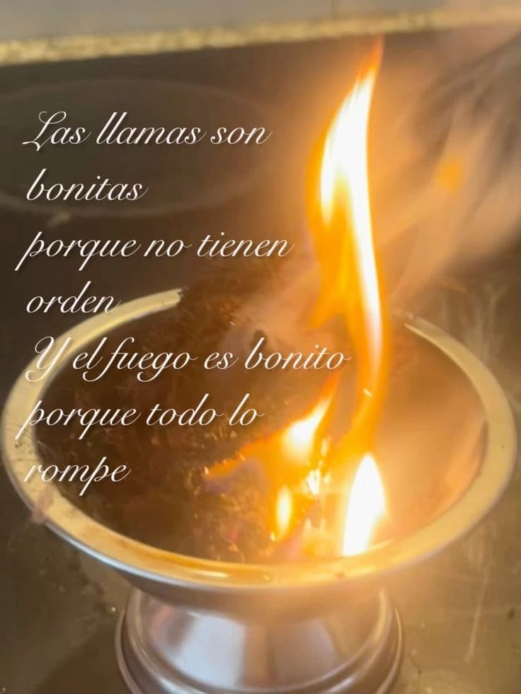 Diseño Sin título 56