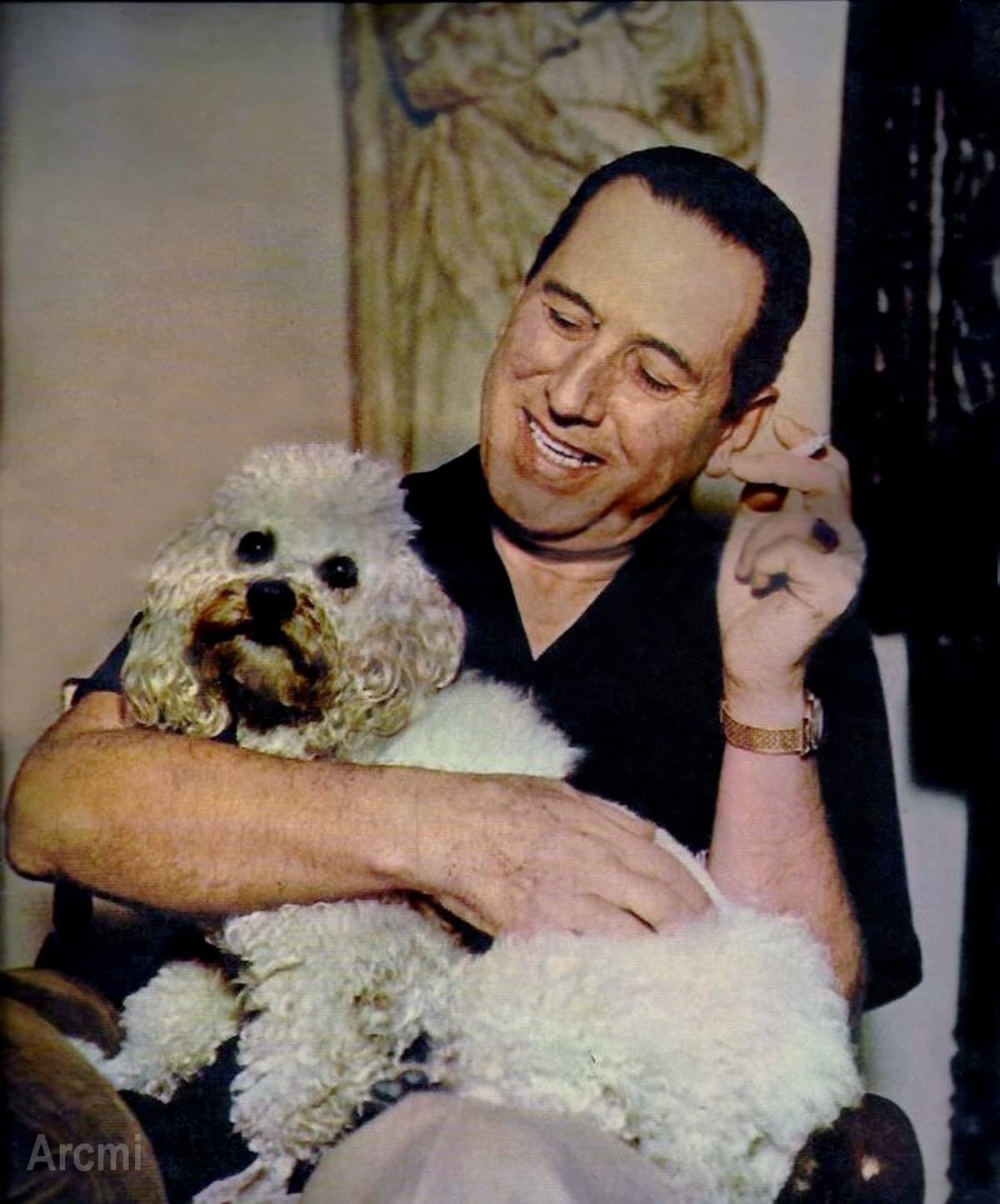 Diseño Perón perrito